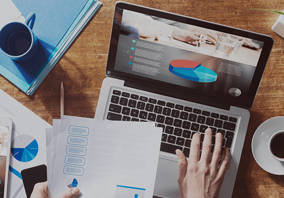 person using documents and online reports