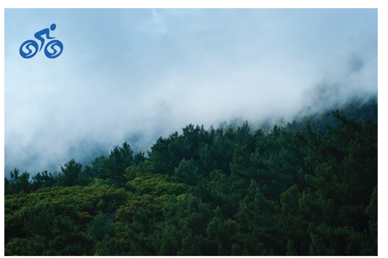 wecycle design theme