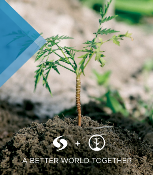partnership of one tree planted with we-cycle